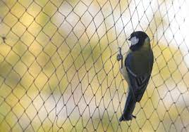 Anti Bird Net Dealers in Nehru Place